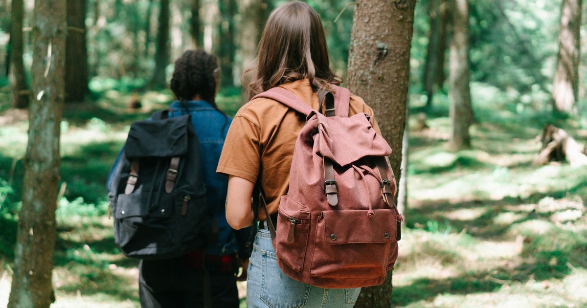 Two hikers with backpacks explore a dense forest path, surrounded by tall trees and greenery.