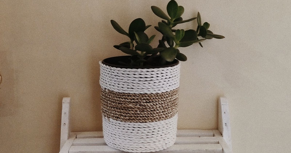 Elegant houseplants in decorative pots displayed on a chic wooden shelf, perfect for modern interiors.